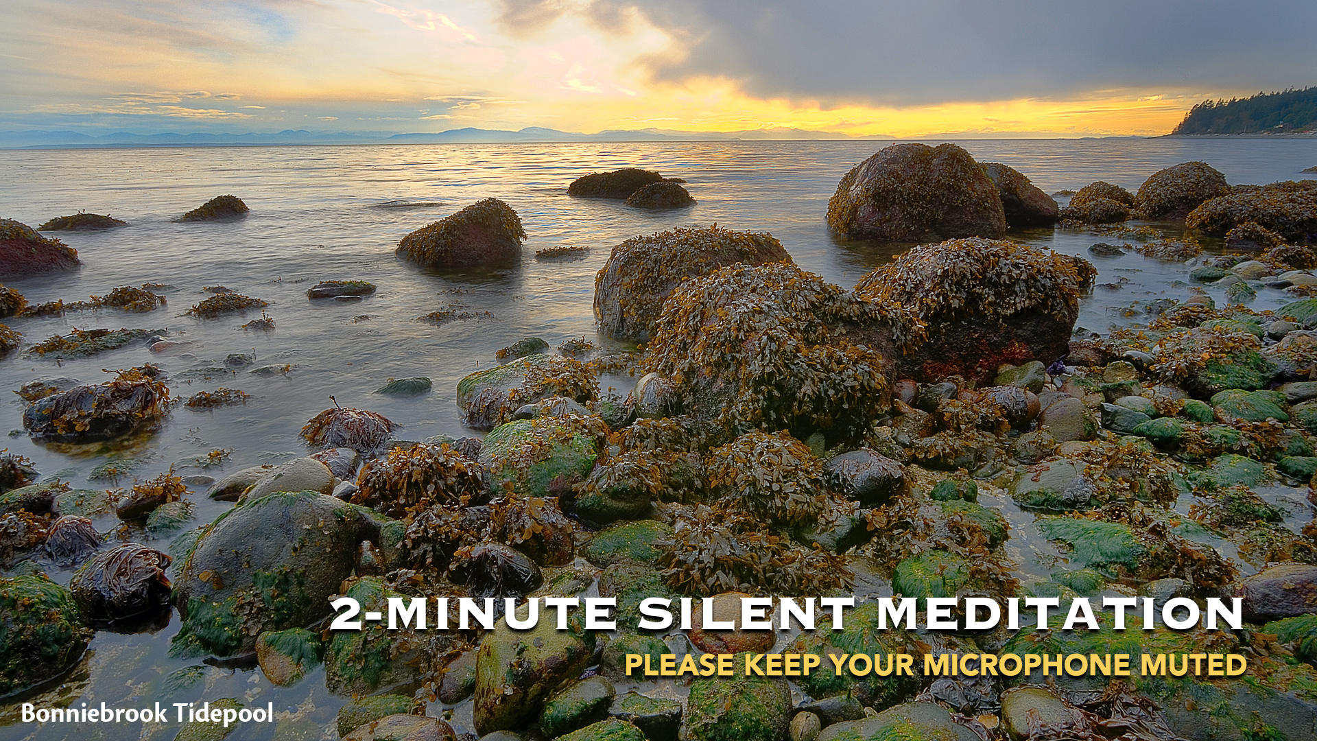 Current slide Bonniebrook